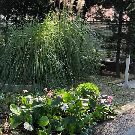 Il Villino Della Duchessa 4* Πάρμα