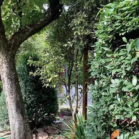 Bed and Breakfast Il Villino Della Duchessa 4*