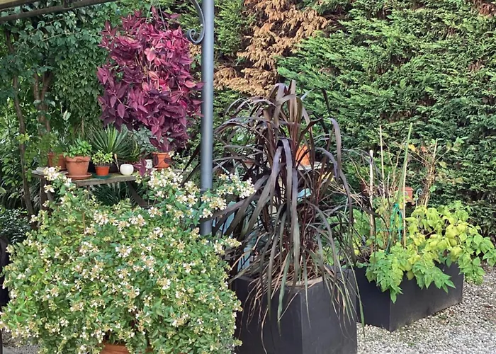 Il Villino Della Duchessa Parma