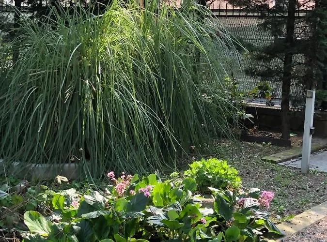 Il Villino Della Duchessa 4* Parma