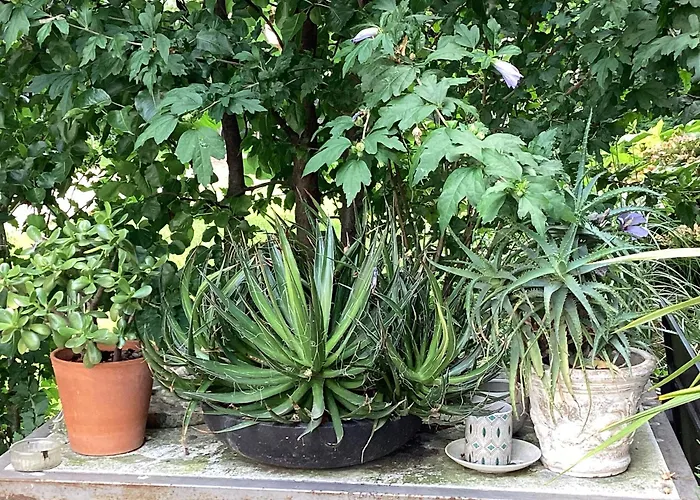 Il Villino Della Duchessa 4* Parma